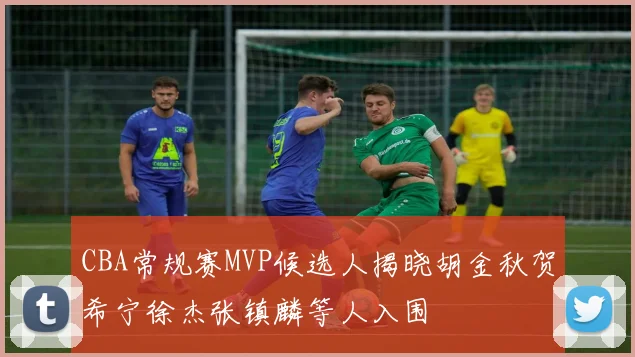 CBA常规赛MVP候选人揭晓胡金秋贺希宁徐杰张镇麟等人入围