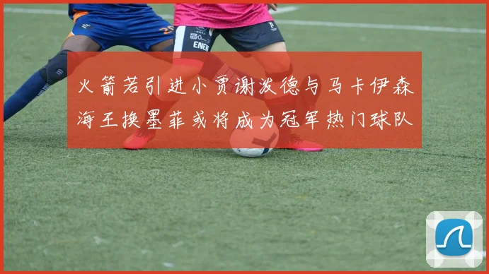 火箭若引进小贾谢泼德与马卡伊森海王换墨菲或将成为冠军热门球队