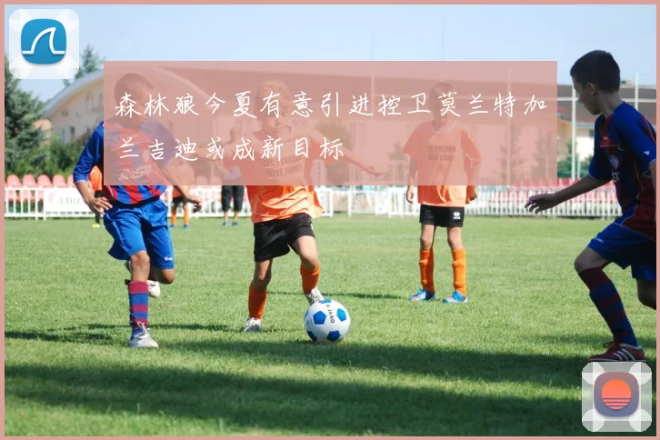 森林狼今夏有意引进控卫莫兰特加兰吉迪或成新目标