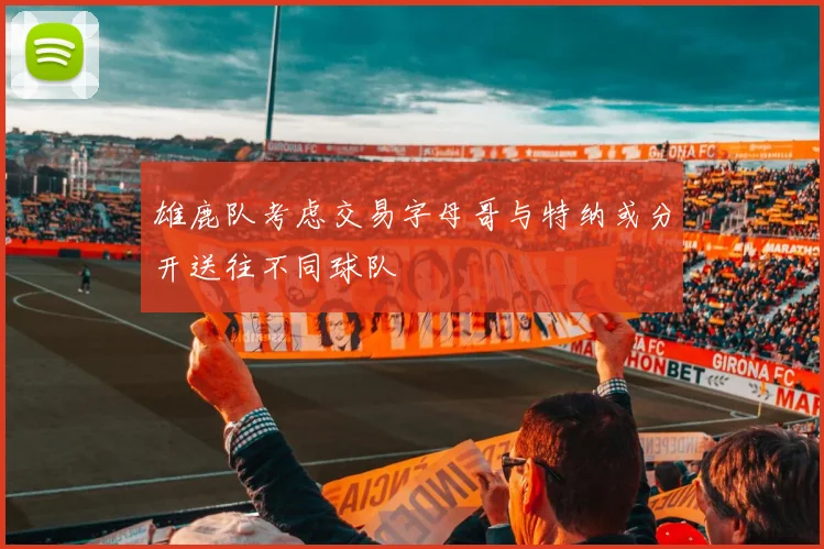 雄鹿队考虑交易字母哥与特纳或分开送往不同球队