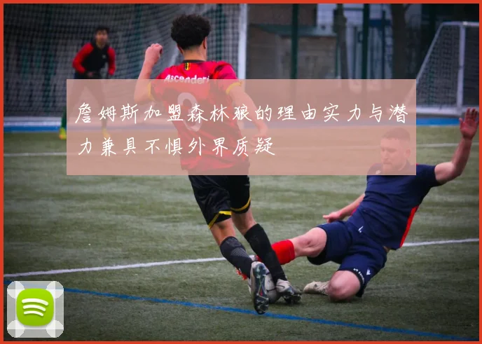 詹姆斯加盟森林狼的理由实力与潜力兼具不惧外界质疑