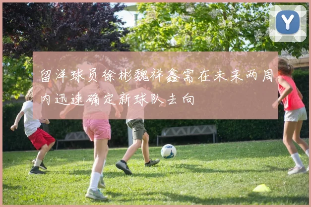 留洋球员徐彬魏祥鑫需在未来两周内迅速确定新球队去向