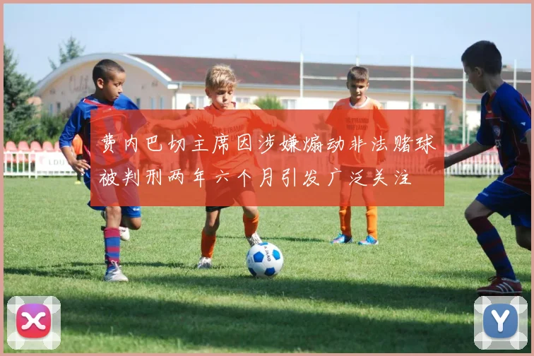 费内巴切主席因涉嫌煽动非法赌球被判刑两年六个月引发广泛关注
