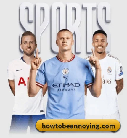 aoa网页版入口围绕看球场景设计的核心服务